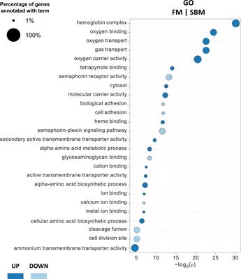 The Spleen as a Target to Characterize Immunomodulatory Effects of Down-Stream Processed Cyberlindnera jadinii Yeasts in Atlantic Salmon Exposed to a Dietary Soybean Meal Challenge